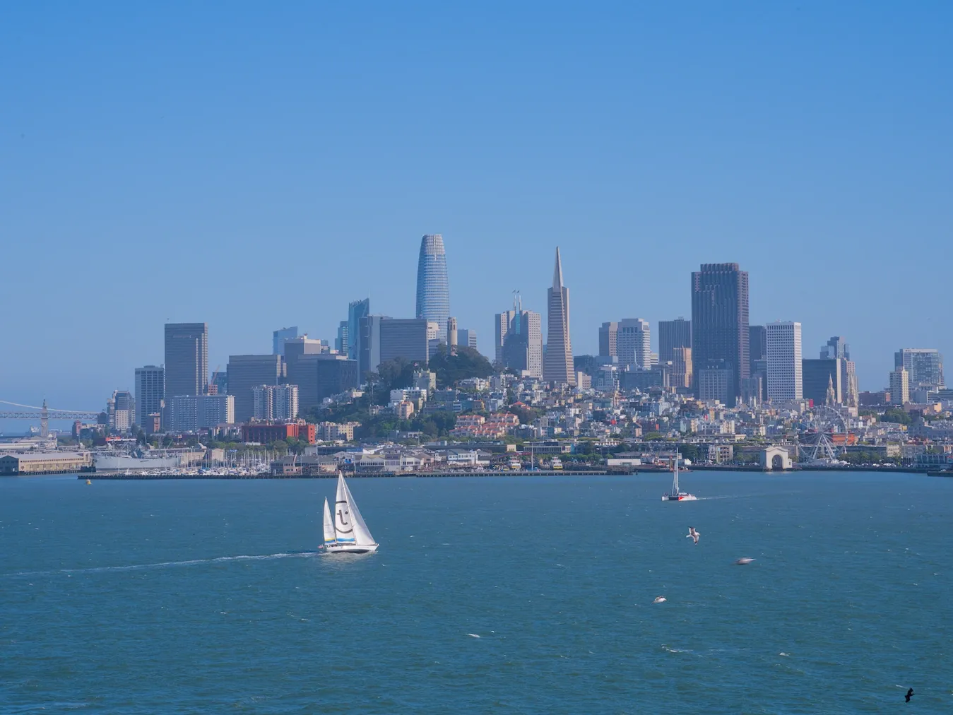 San Franciso Skyline from Alcatraz Island