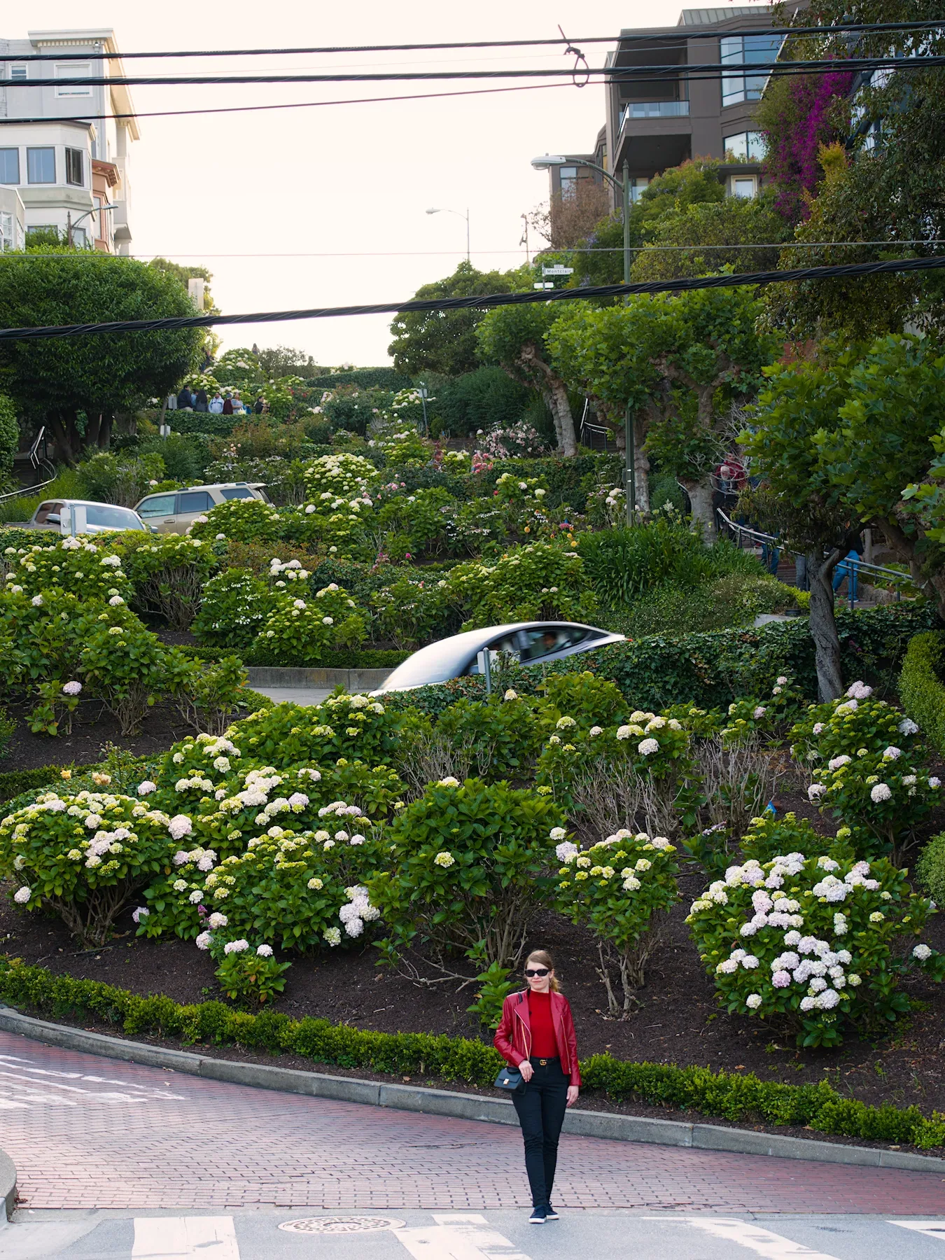 Lombard Street from Below