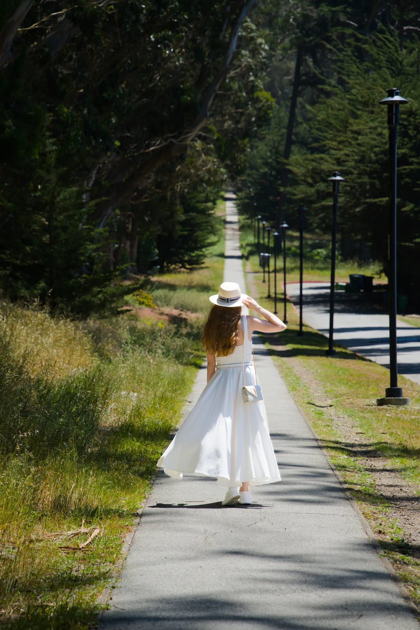 Lovers’ Lane at the Presidio