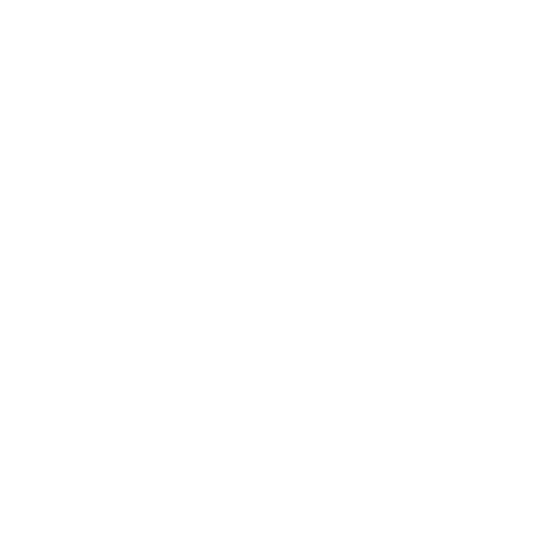 Lost In Wonders Logo